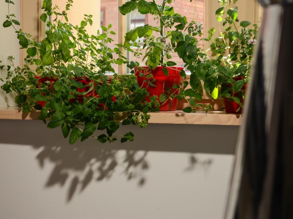 Mans Nams - Self Check In Hotel Saldus Room photo